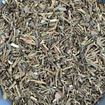 柴胡苗药用物美价廉地道药材
