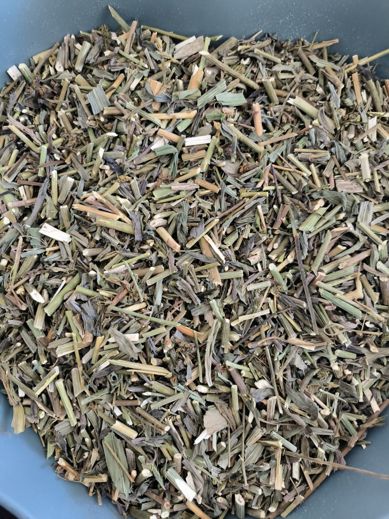 柴胡苗药用物美价廉地道药材