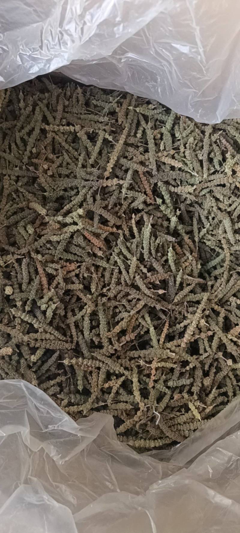 荆芥穗，荆芥段，中药材批发，产地一手货源，丹丹中药