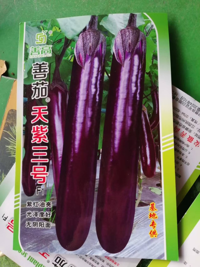 天紫三号茄子