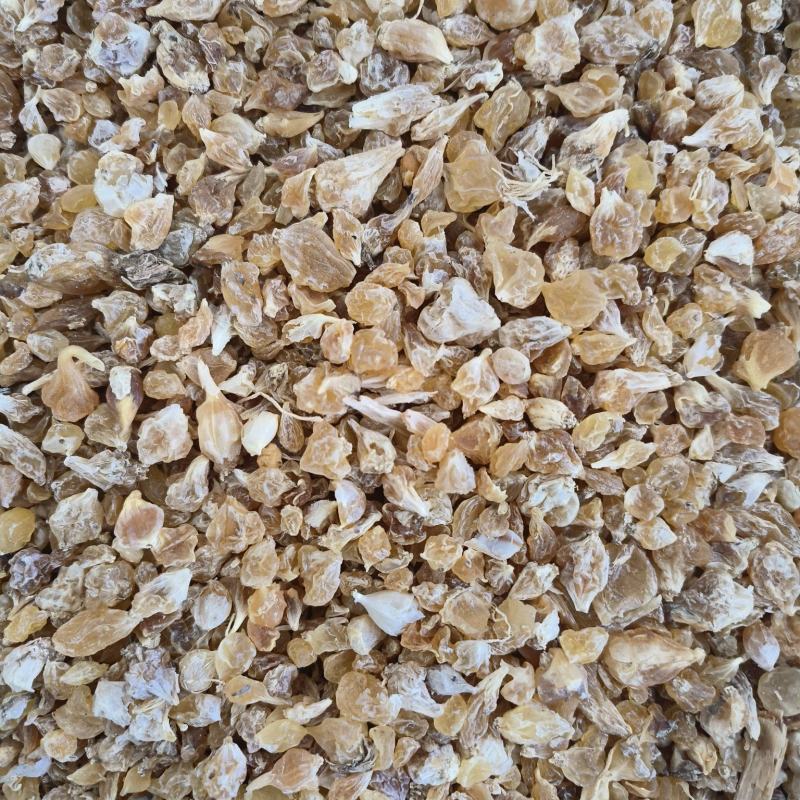 中药材薤白各种规格物美价廉