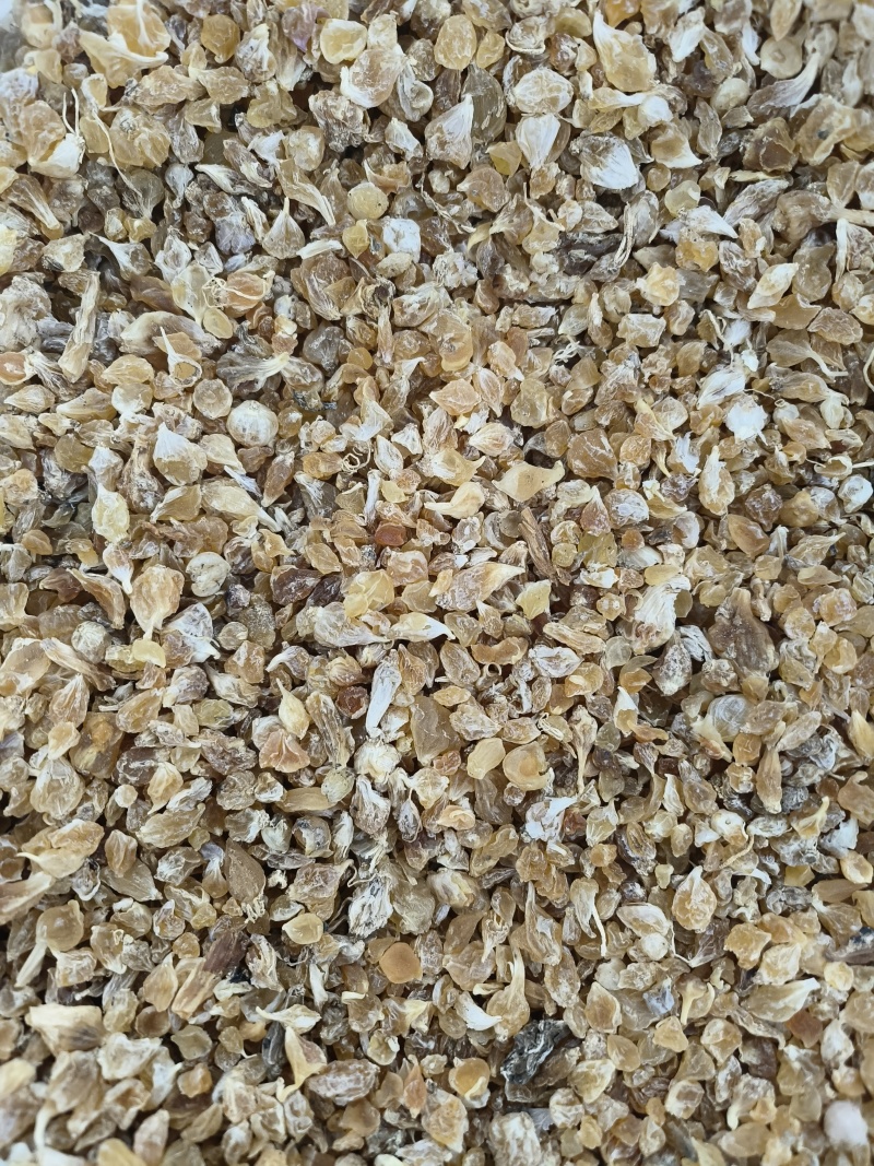 中药材薤白各种规格物美价廉