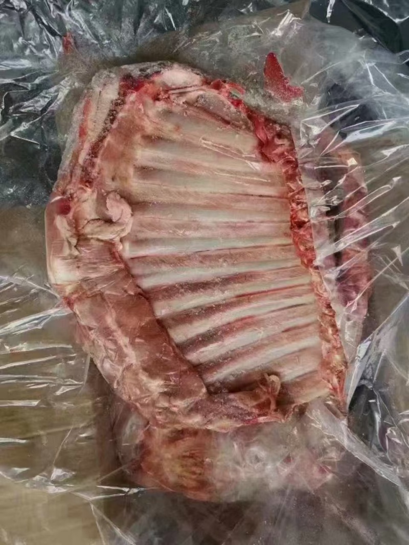 羔羊全排，肉厚瘦度高，适合卤炖煎炸，一手货源，稳定充足！