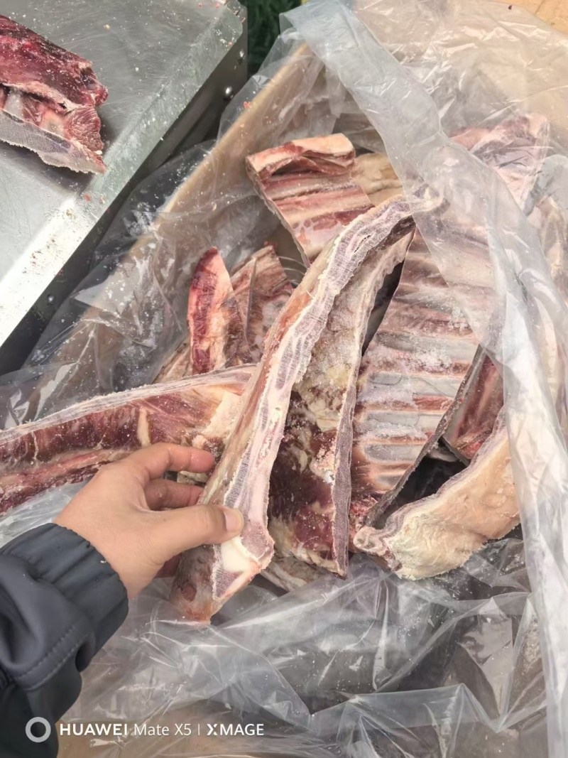 羔羊全排，肉厚瘦度高，适合卤炖煎炸，一手货源，稳定充足！