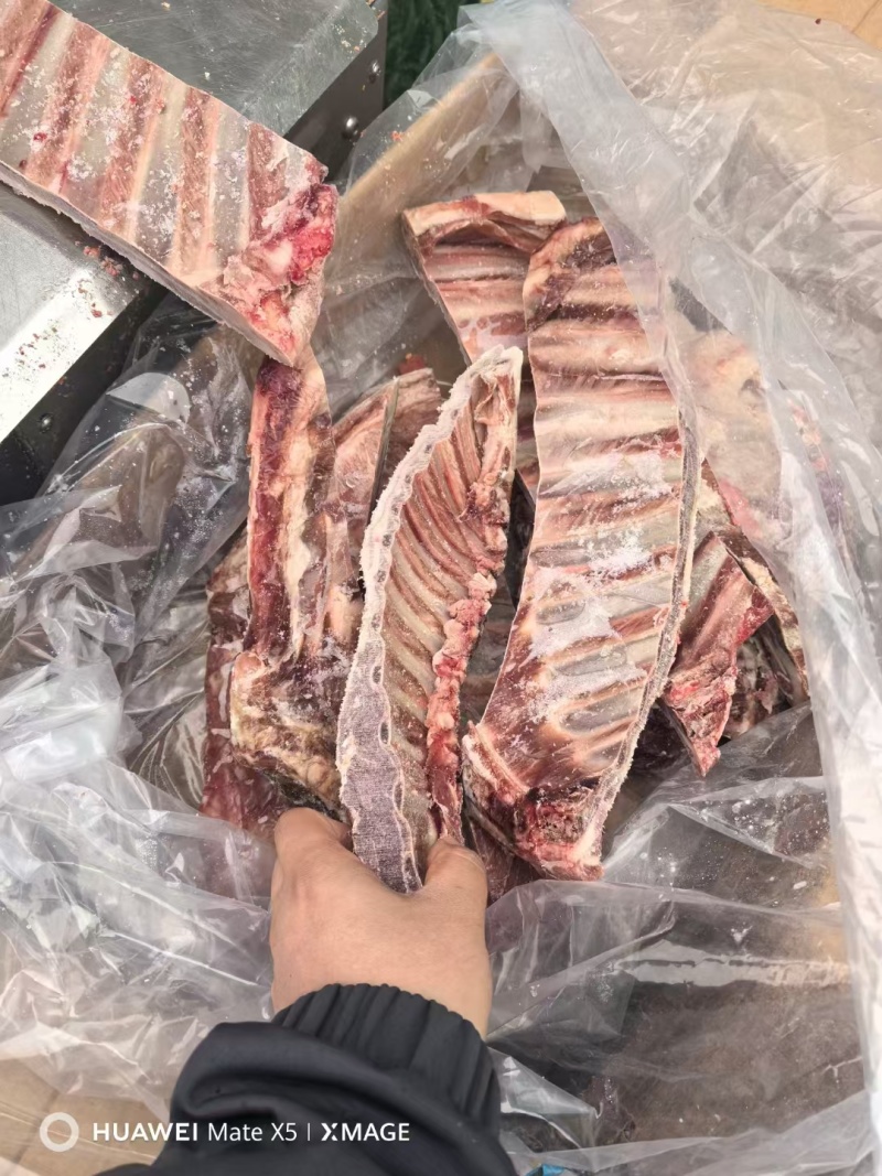 羔羊全排，肉厚瘦度高，适合卤炖煎炸，一手货源，稳定充足！