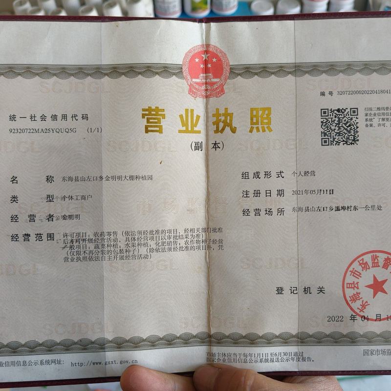 硬粉沙瓤西红柿