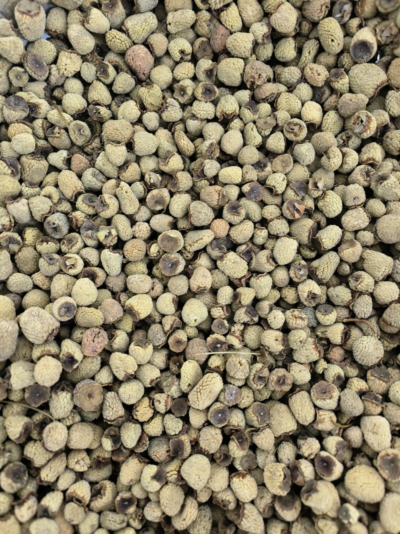 覆盆子干净无杂质质量保证品质优价格廉
