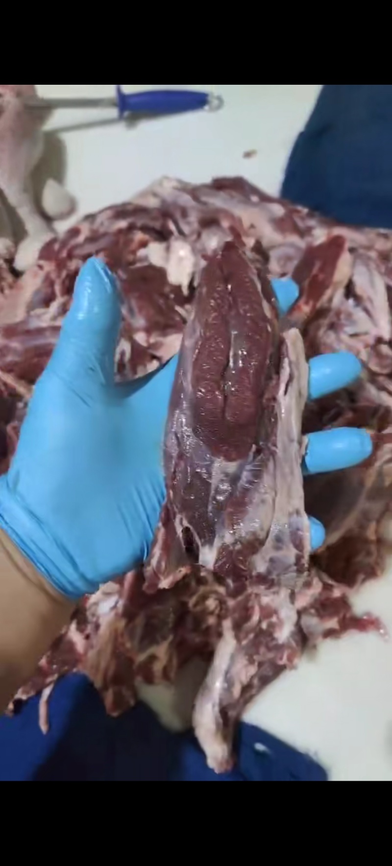 牛碎肉，块大瘦度高，全国冷链物流发货，一手货源充足！！！
