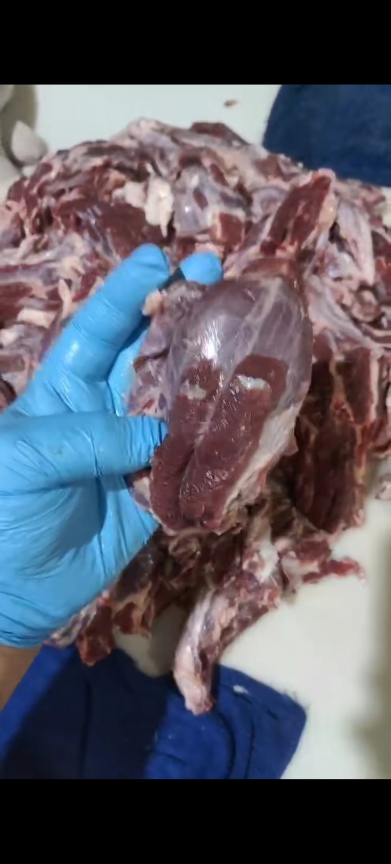 牛碎肉，块大瘦度高，全国冷链物流发货，一手货源充足！！！