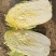 潍坊黄心大白菜