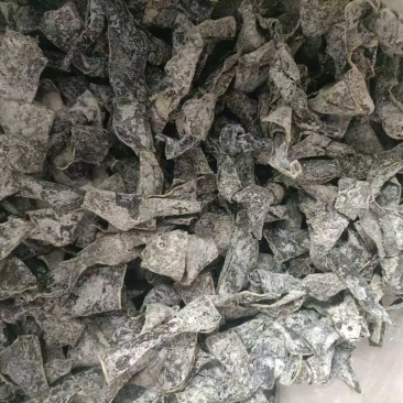烘海带结大结，颜色好，质量优，全国发货规格全