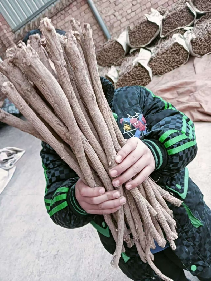 优选保含量黄芪条