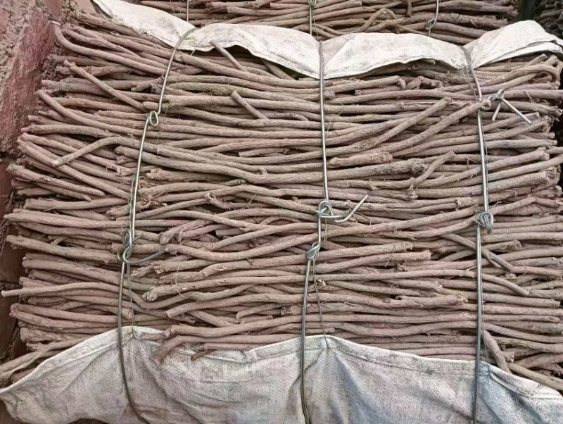 优选保含量黄芪条