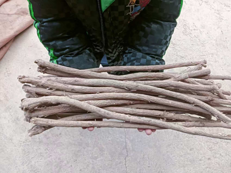 优选保含量黄芪条