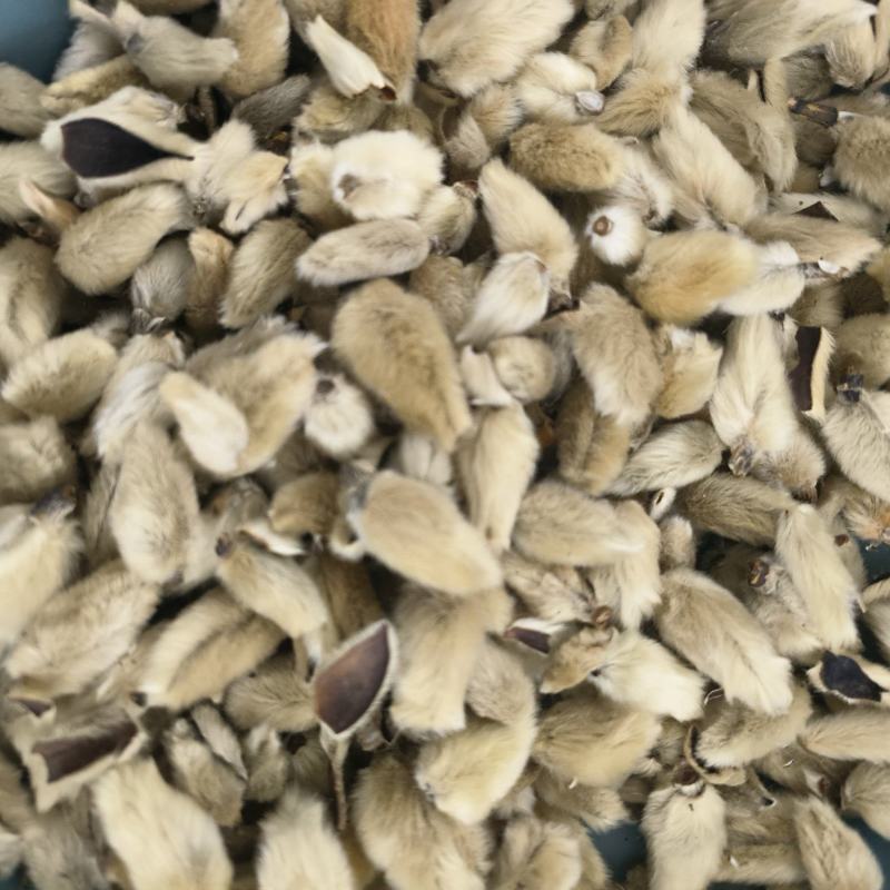 正宗中药材辛夷大小两种规格，可视频