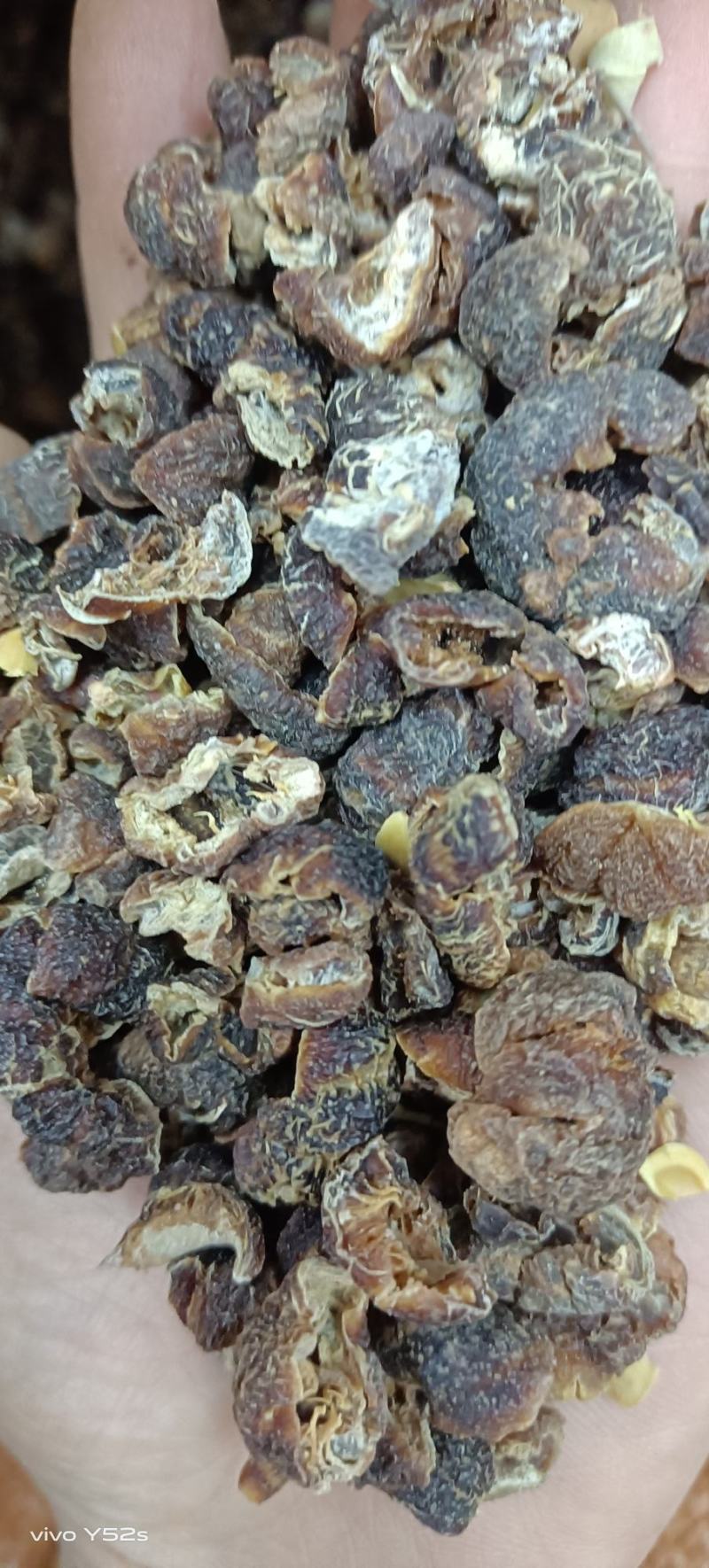 橄榄果多种中药搭配批发，一手货源产地直发
