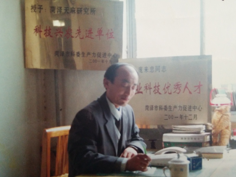 天麻种子，天麻蜜环菌