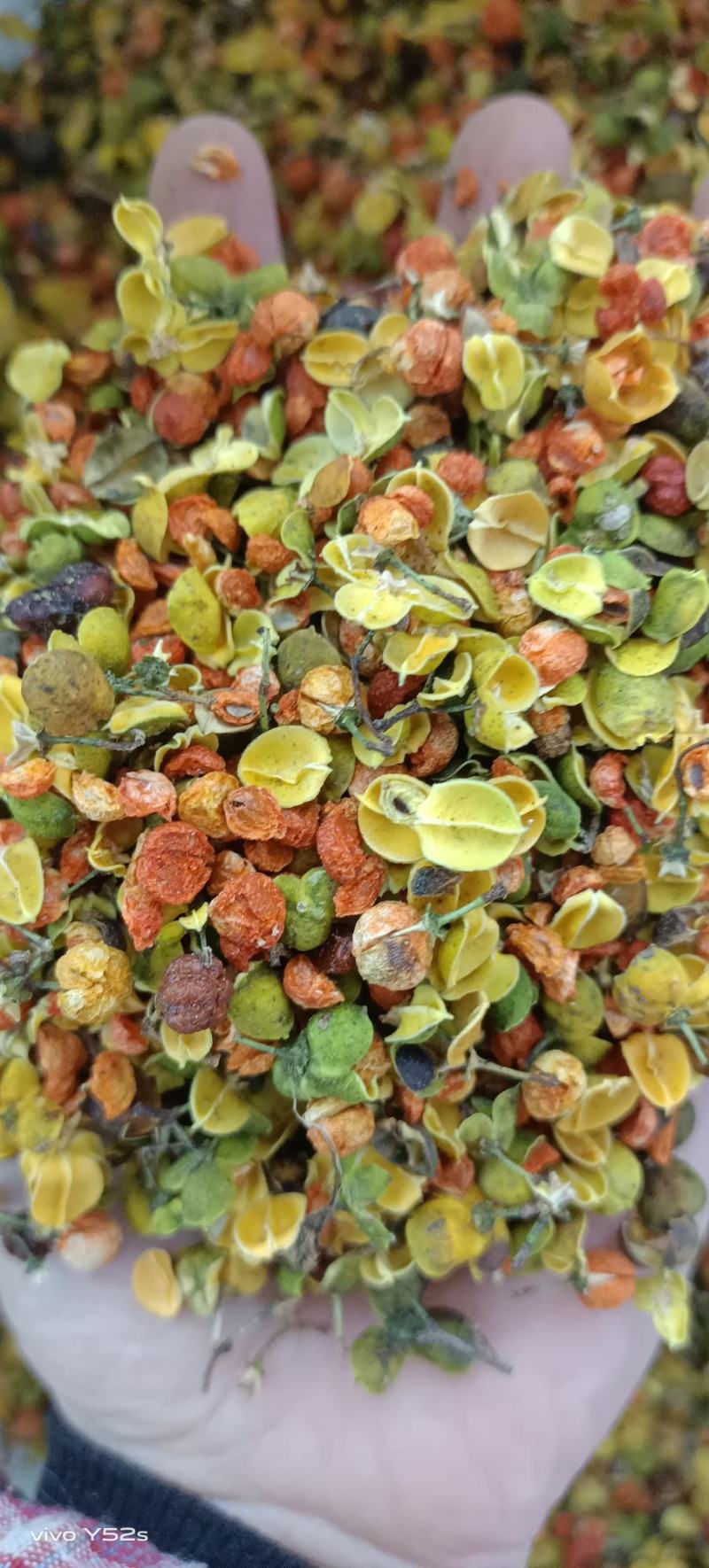 合欢花各种中草药批发药材我们只做正品给一个机会还一份信任