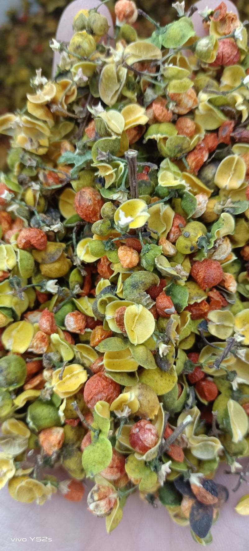 合欢花各种中草药批发药材我们只做正品给一个机会还一份信任