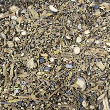 正宗桑寄生质量保证量大从优