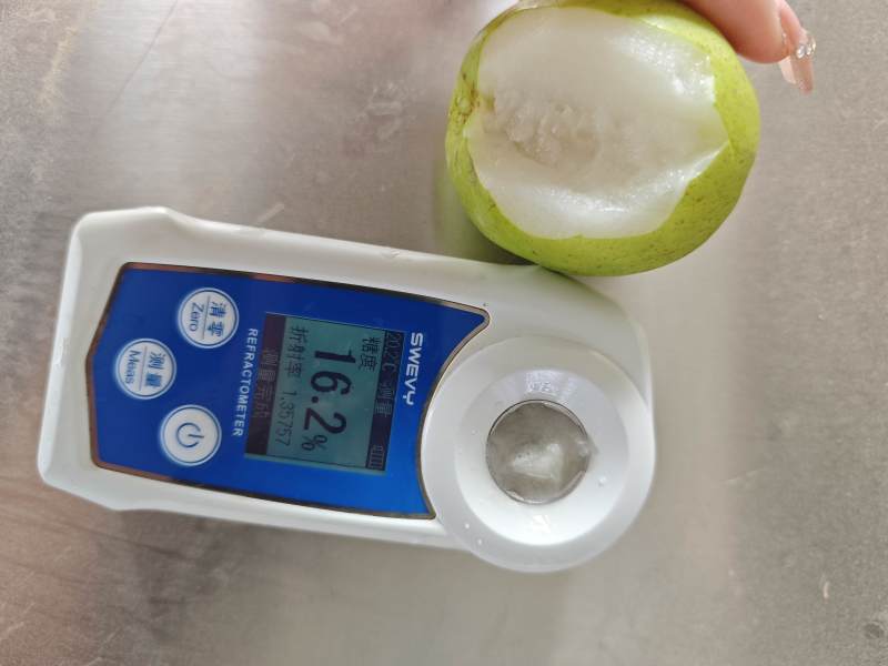 脆甜多汁爽口解腻西双版纳苹果枣