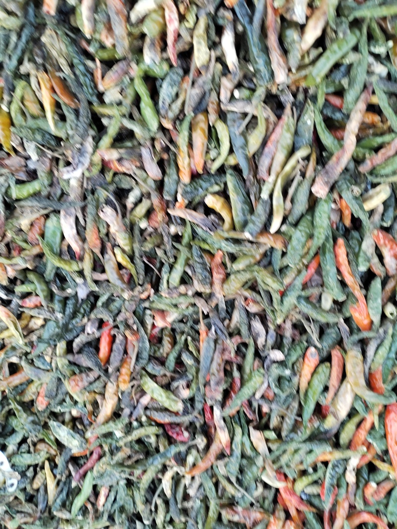 青辣椒青干辣椒无把无帽