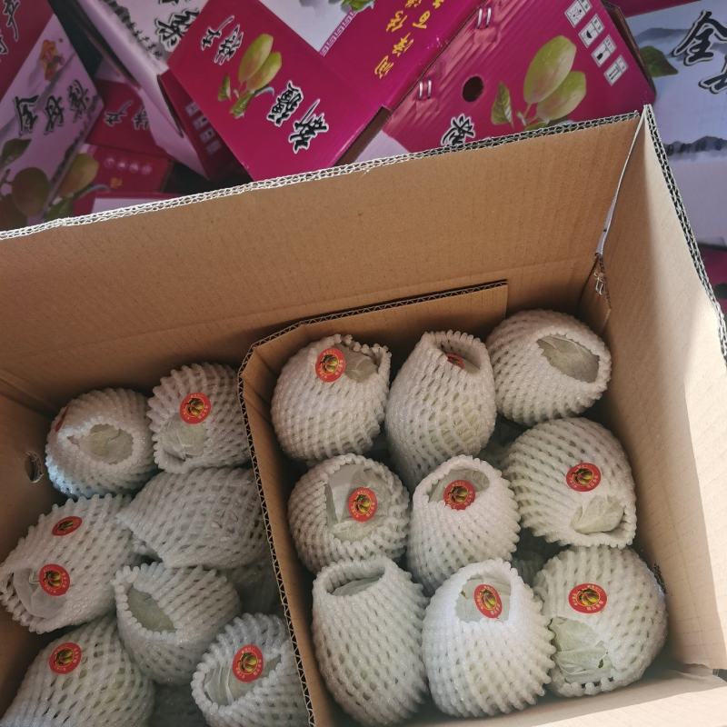 大量供应礼盒香梨产地一手货源支持各种包装代发全国质量三包