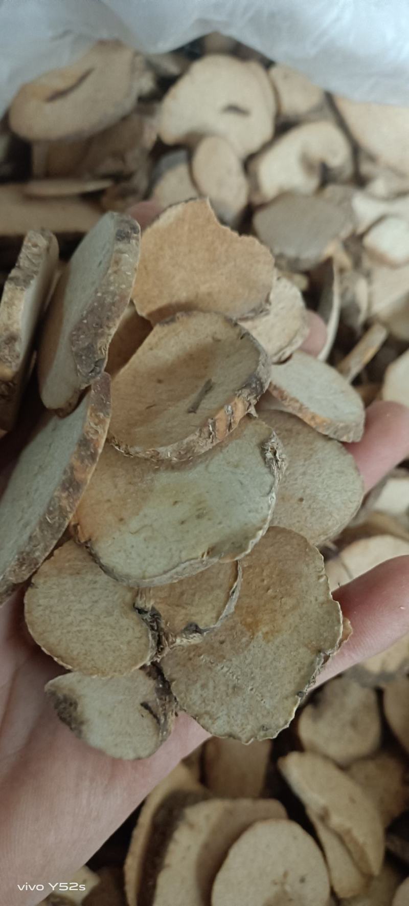 泽泻各种中药材名贵药材准备药材代加工多种药材一起批发