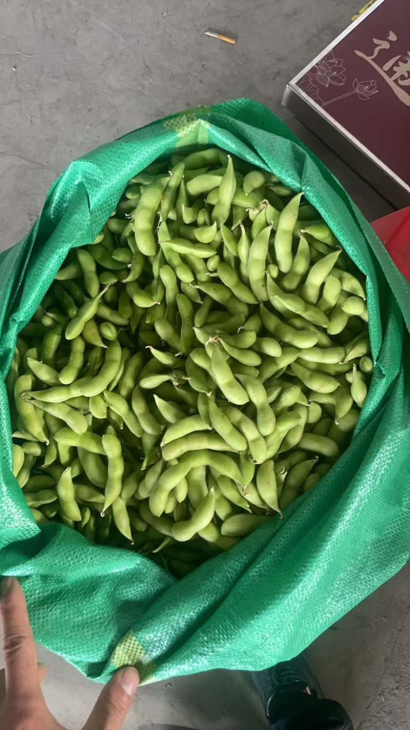 大量供精品64毛豆不段货嘉兴提货