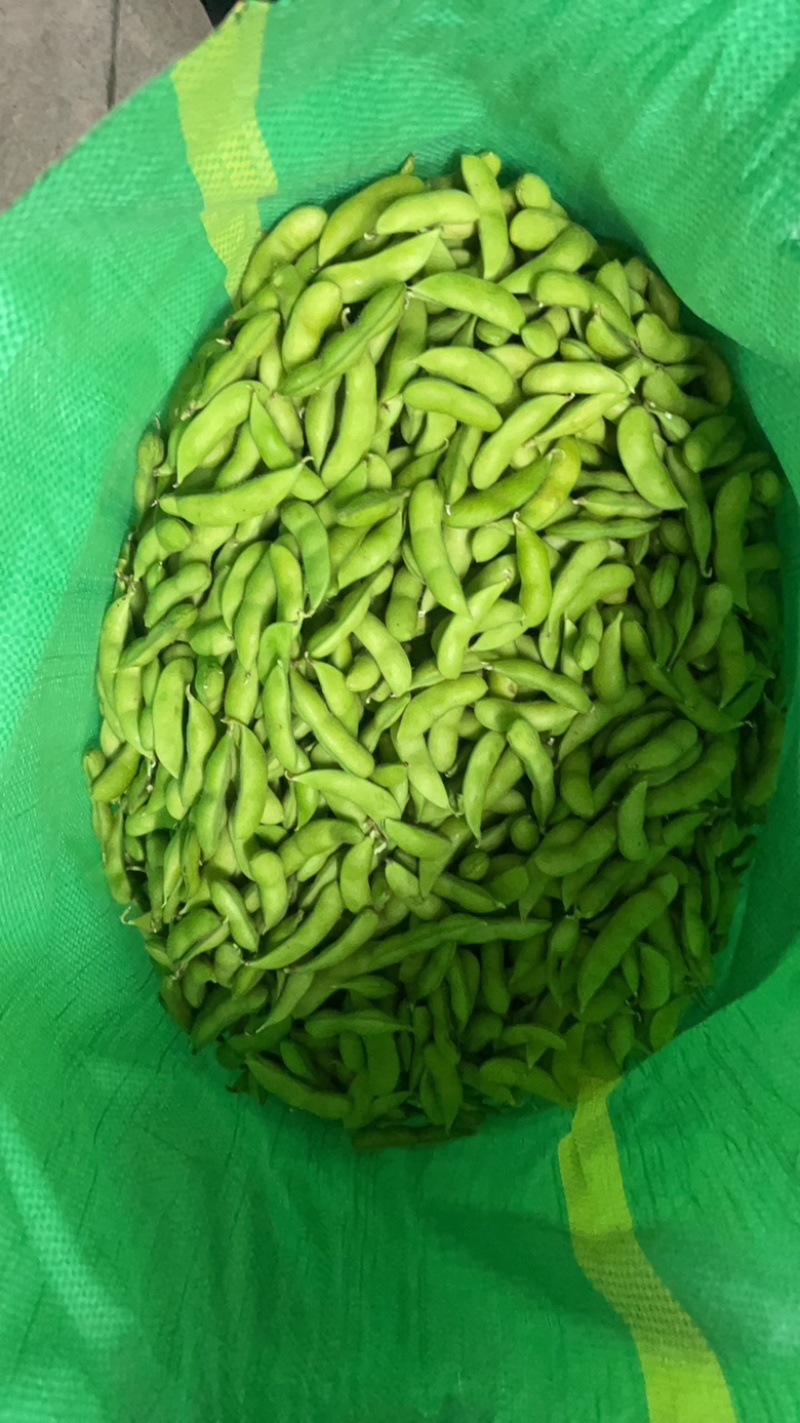 大量供精品64毛豆不段货嘉兴提货