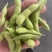 大量供精品64毛豆不段货嘉兴提货