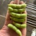 大量供精品64毛豆不段货嘉兴提货
