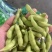 大量供精品64毛豆不段货嘉兴提货