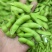 大量供精品64毛豆不段货嘉兴提货