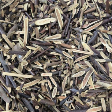 皂角刺中药材批发皂角刺精品皂角刺