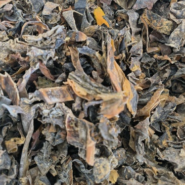 昆布中药材昆布批发干净无杂质物美价廉