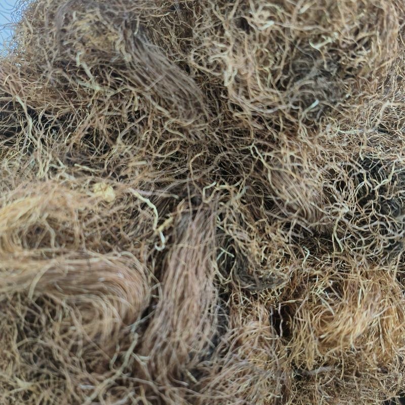 玉米须河南原产干净无杂质品质保证