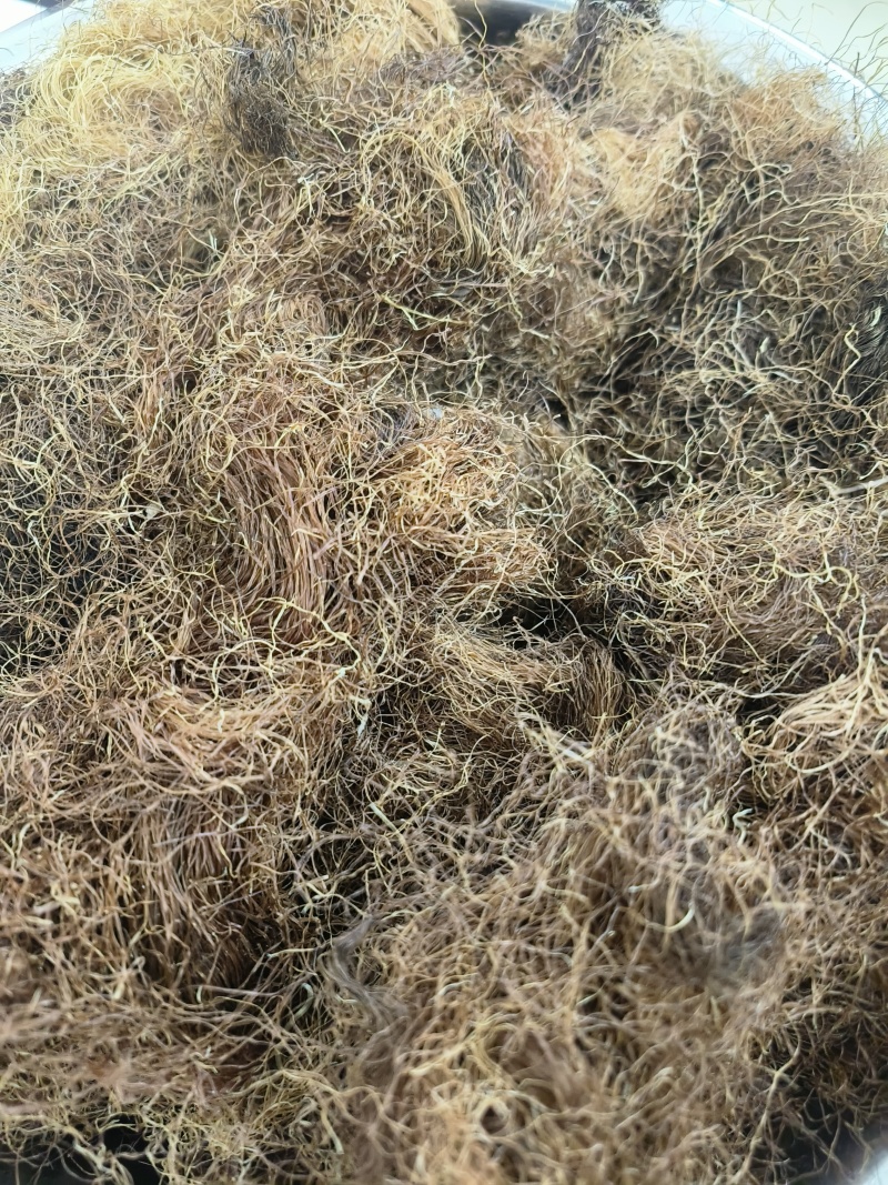 玉米须河南原产干净无杂质品质保证