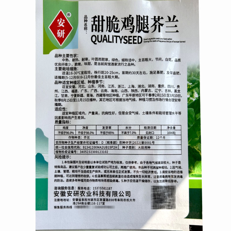 四季大笋芥兰种子中花芥蓝种籽四季盆栽春夏秋冬季广东蔬菜种