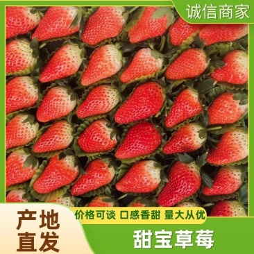 平度麻兰甜宝香野大量供应，欢迎有识之士前来洽谈
