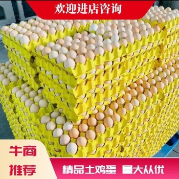 批发精品土鸡蛋，粉壳，白壳，绿壳，价格实惠值得购买