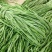 净重贡菜干新货苔菜农家特产新鲜脱水蔬菜脆嫩商