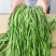 净重贡菜干新货苔菜农家特产新鲜脱水蔬菜脆嫩商