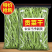 净重贡菜干新货苔菜农家特产新鲜脱水蔬菜脆嫩商