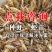 小龙虾苗种虾苗定价提醒进苗潜江虾苗