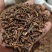 茜草新货茜草干净无杂过筛无硫***正品保障大货批发零售