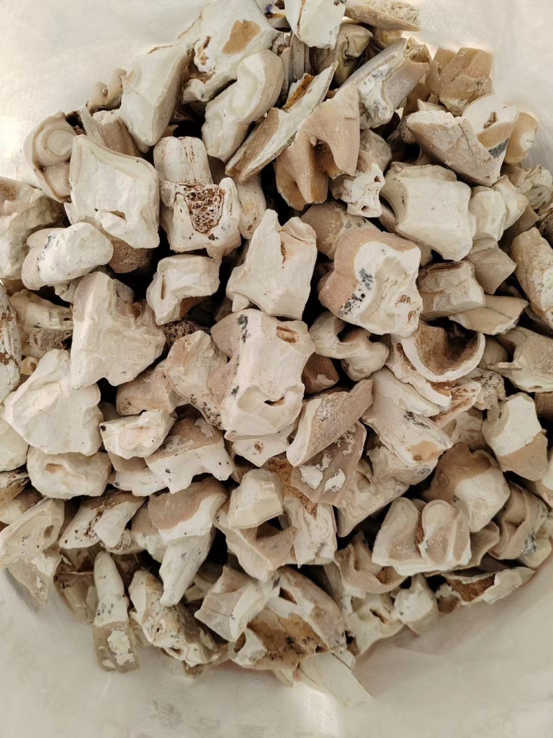 龙骨土龙骨水洗干净无杂品质纯正花龙骨真品龙骨