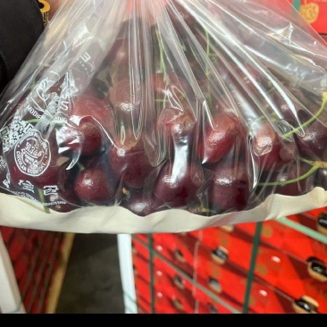 2J要的抓紧