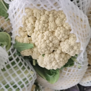 精品有机花菜白面青梗松花菜菜花白花菜全国发货