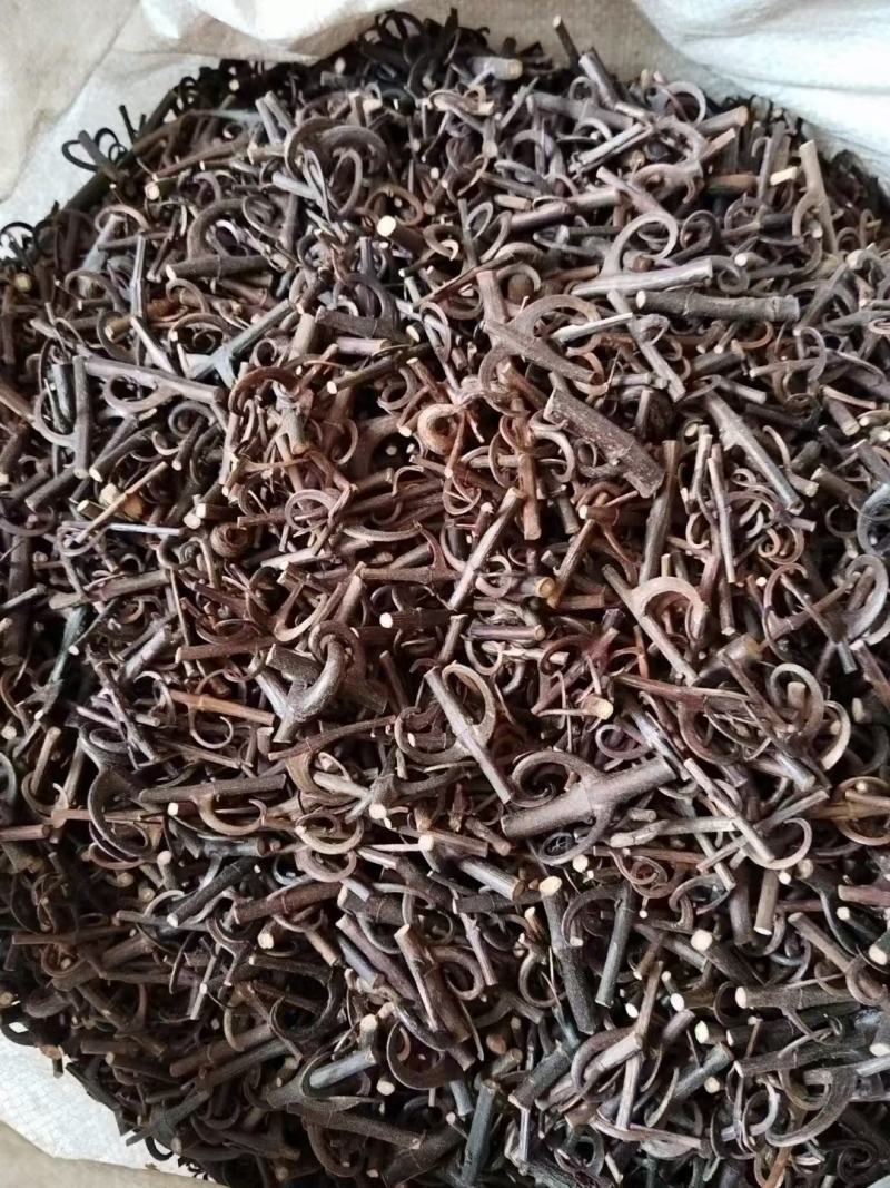 钩藤双钩全钩多种规格无硫各种中药材